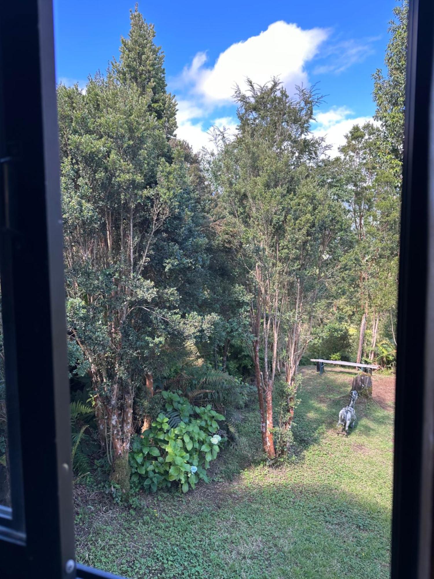 Cabanas Kuyen Austral Hornopiren Bagian luar foto