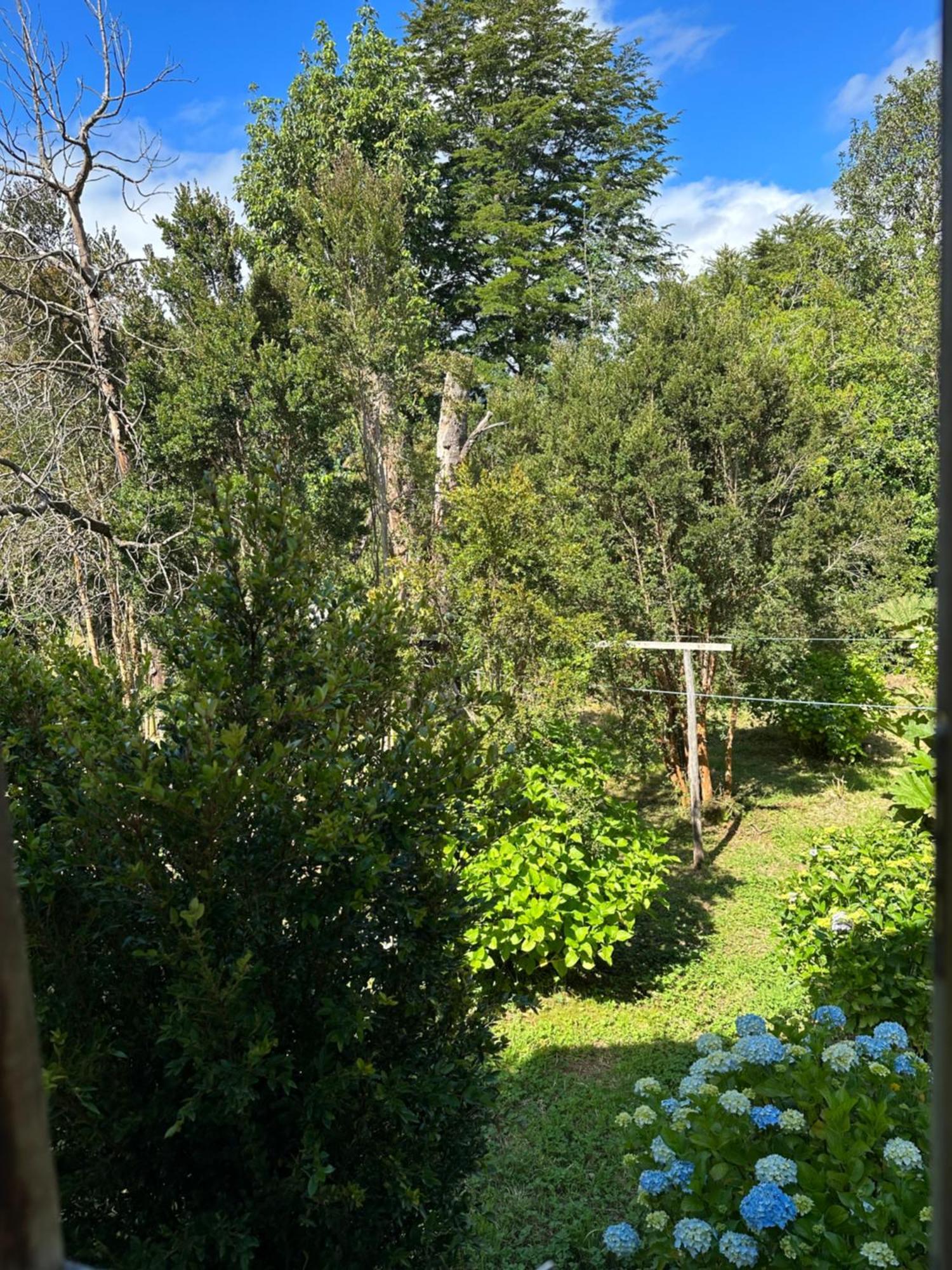 Cabanas Kuyen Austral Hornopiren Bagian luar foto